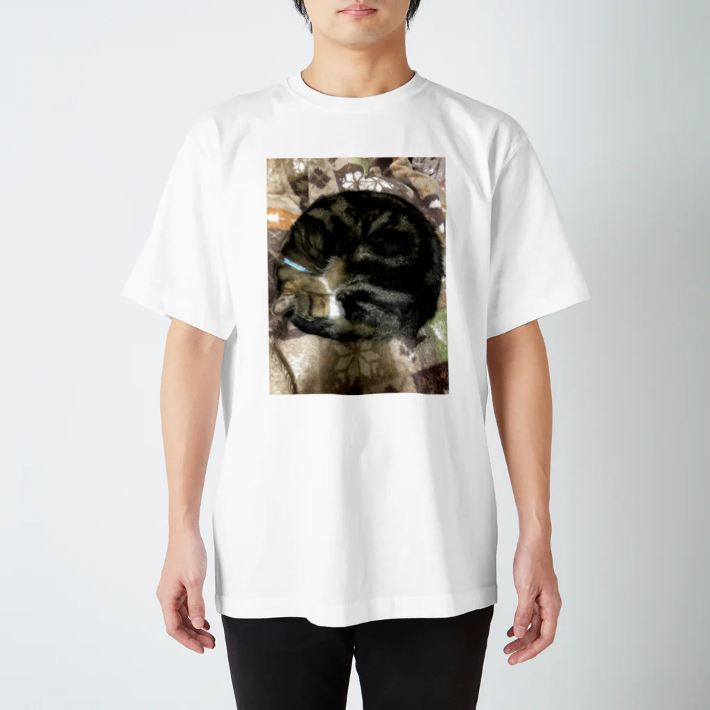 Toranosukeの猫のアンモニャイト スタンダードTシャツ