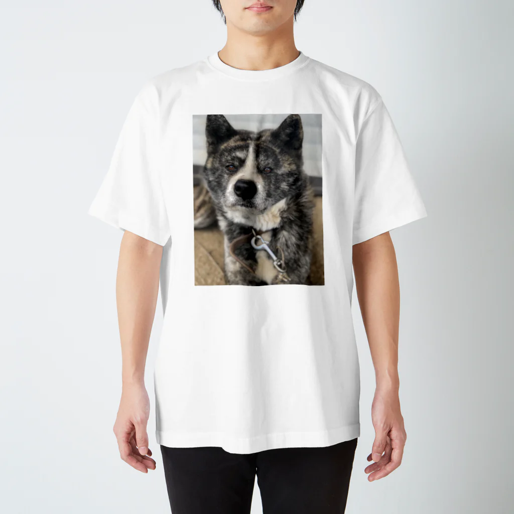 よしたかの妹が飼ってるごま太郎だか二郎っていうまあまあデカめのイッヌ スタンダードTシャツ