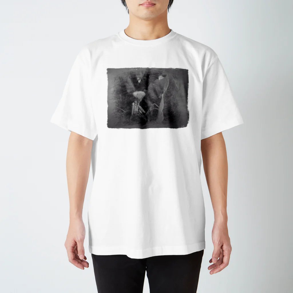 Sea mileのKamakiri Regular Fit T-Shirt