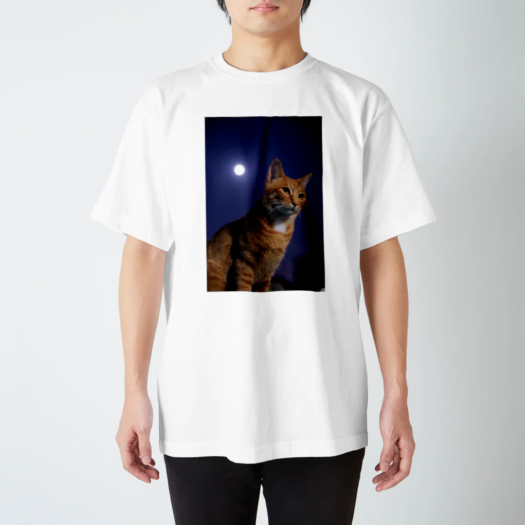 シッポ追いの猫写真店のつきねこ 十五夜 スタンダードTシャツ