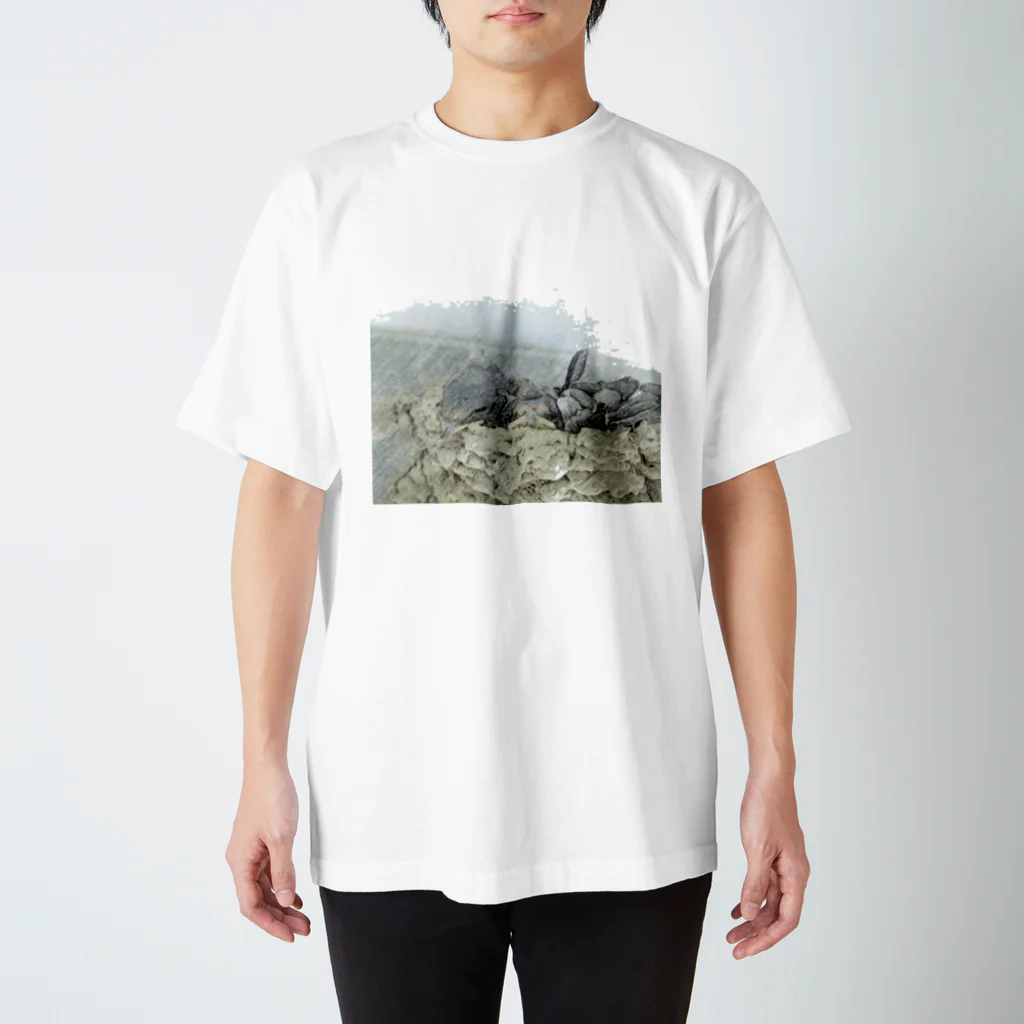 なぎの燕の午睡 Regular Fit T-Shirt