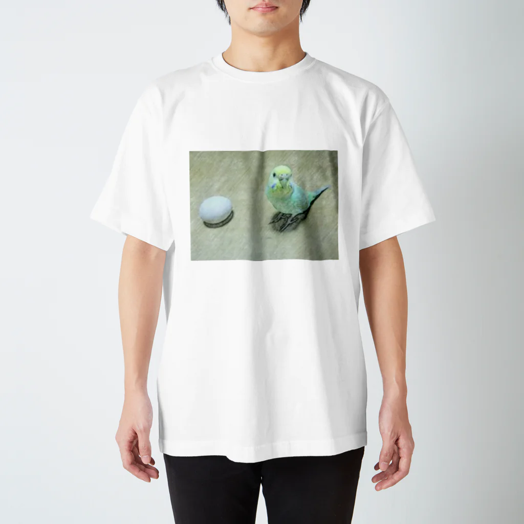 なぎの東京銘菓とセキセイインコ スタンダードTシャツ