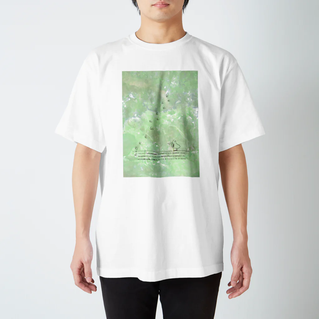 nonaの市議のアマミヤマシギです Regular Fit T-Shirt