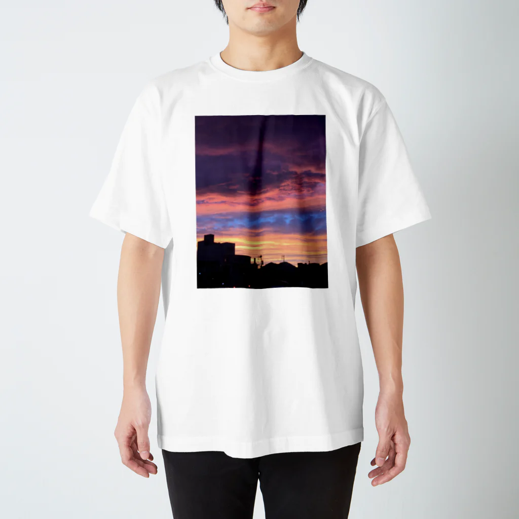 クサナギの夕焼け スタンダードTシャツ