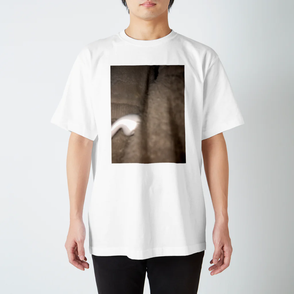 jiisayaka_のいやぽん Regular Fit T-Shirt