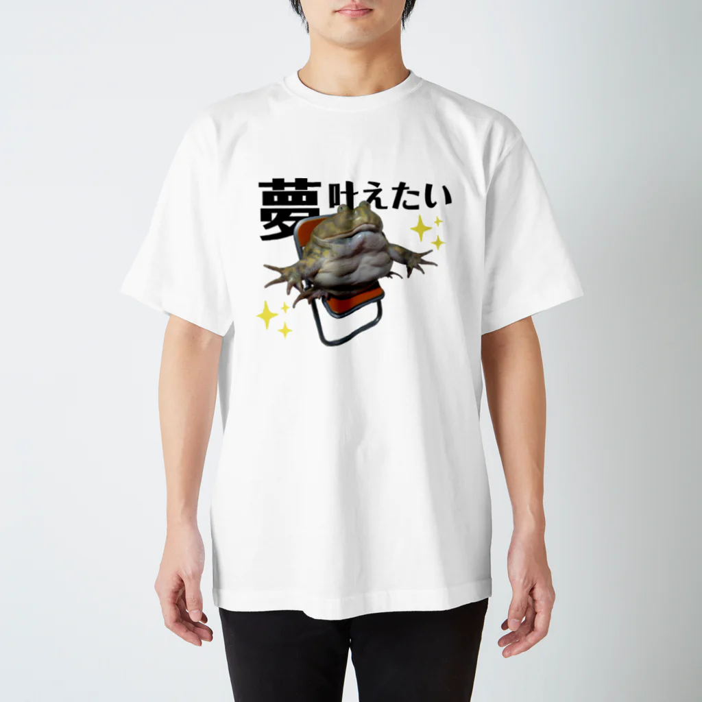 HARUチャンネルTVのアフウシ夢叶えたい Regular Fit T-Shirt