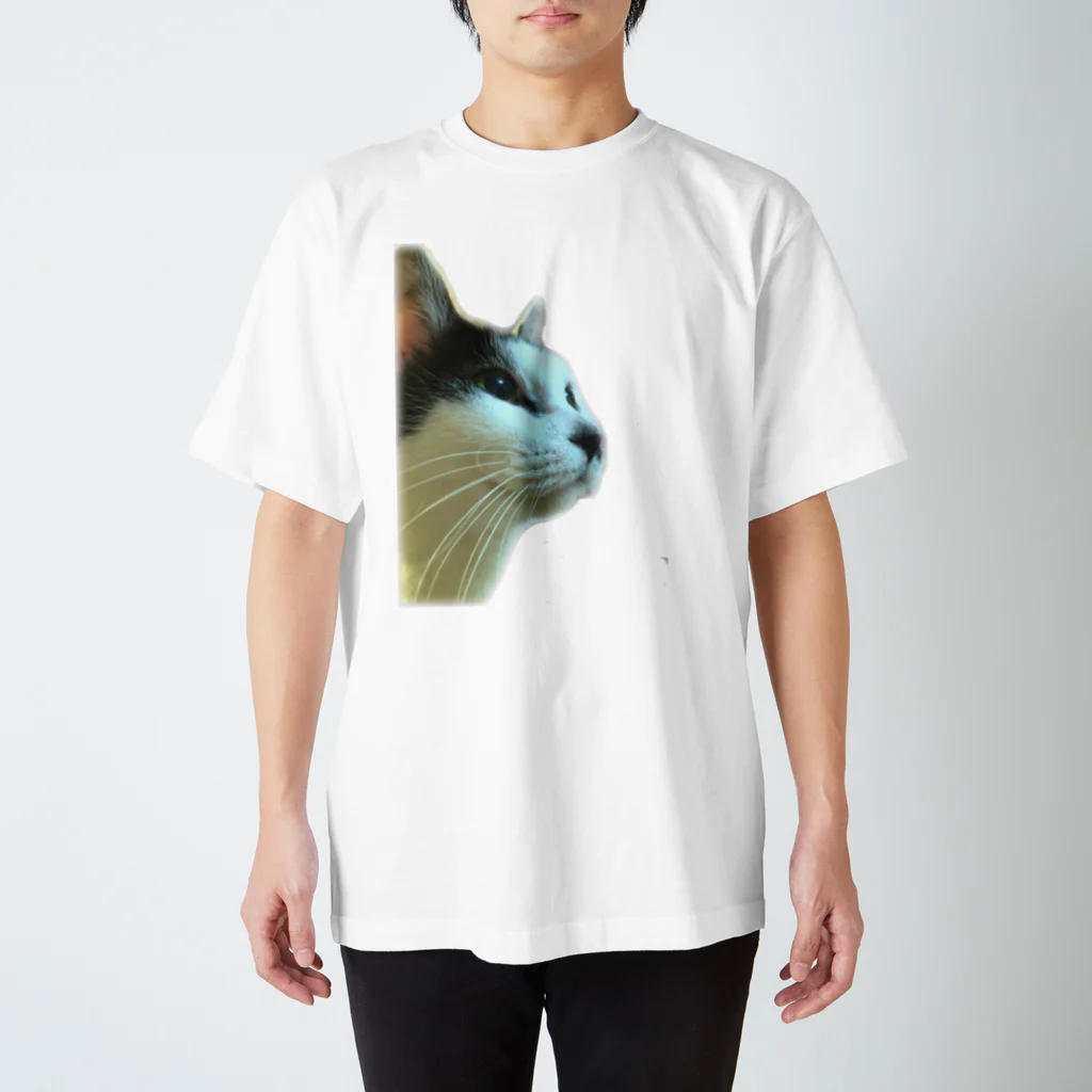 aizのわがはいは猫であるぞ。 スタンダードTシャツ