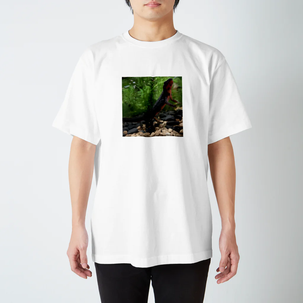 Kanjiのシリケンイモリ スタンダードTシャツ