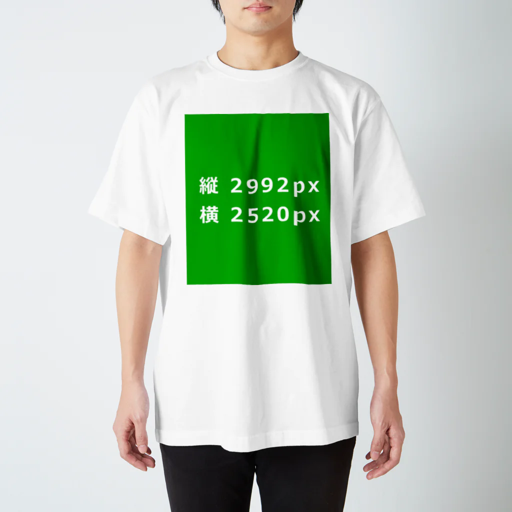 3rd shopのTシャツ スタンダードTシャツ