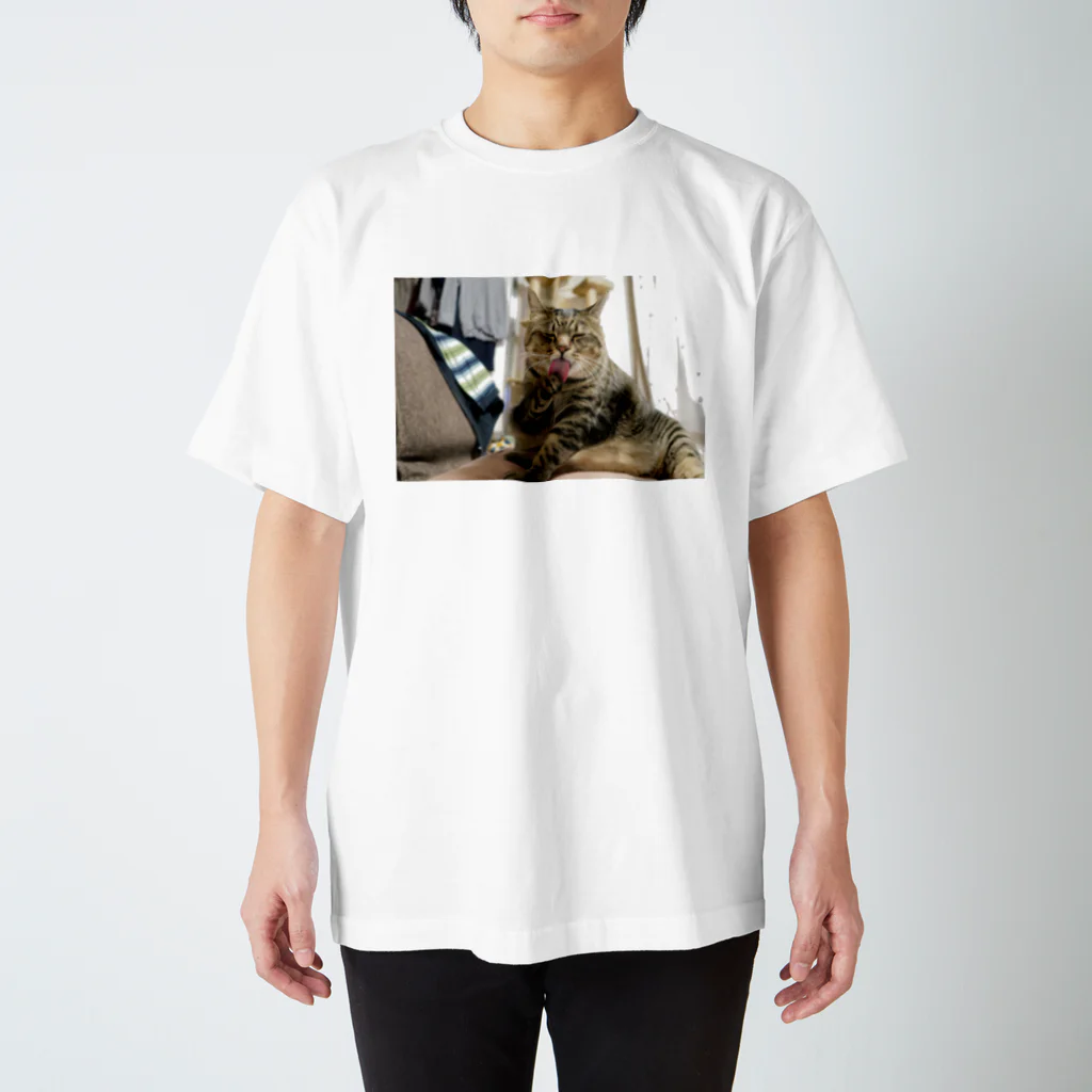 They call me"sambo"のねこ スタンダードTシャツ