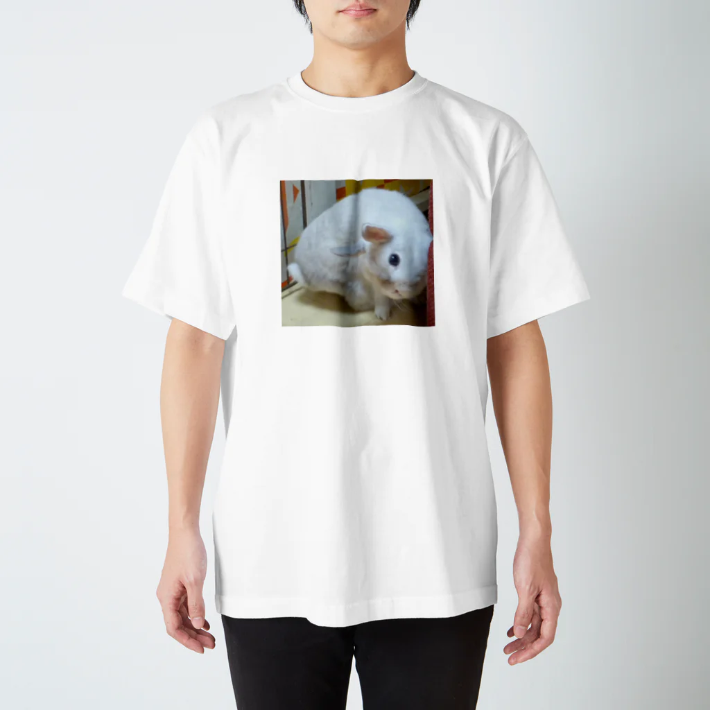 うさぎはうすのぶつぶつぶーちゃん Regular Fit T-Shirt