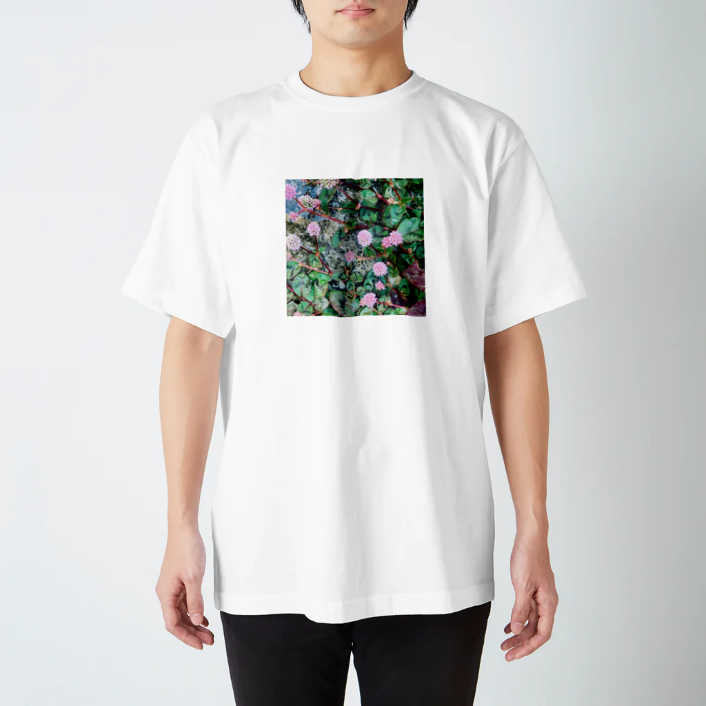 1104の玄関のヒメツルソバ Regular Fit T-Shirt