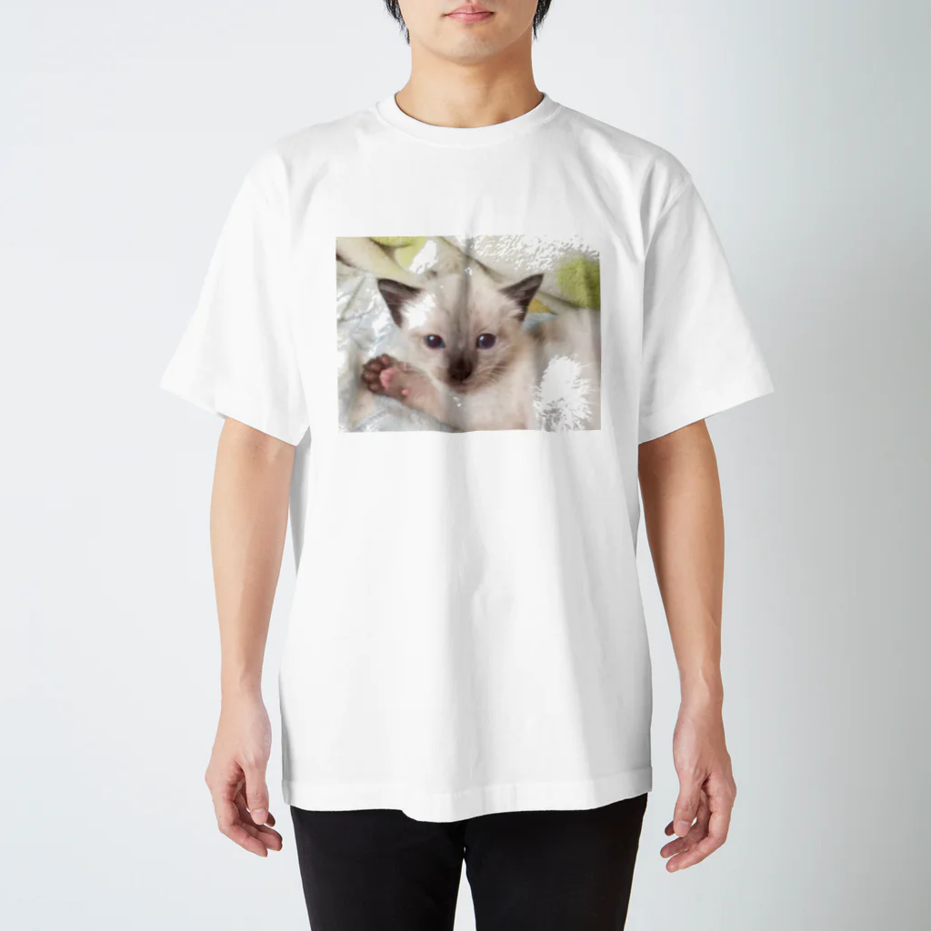 Siamese cat シャムのシャムBaby スタンダードTシャツ