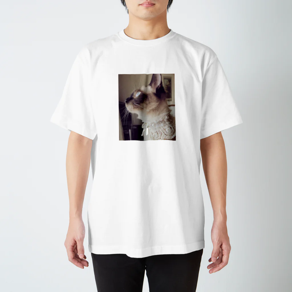 Siamese cat シャムのおしゃれシャム スタンダードTシャツ