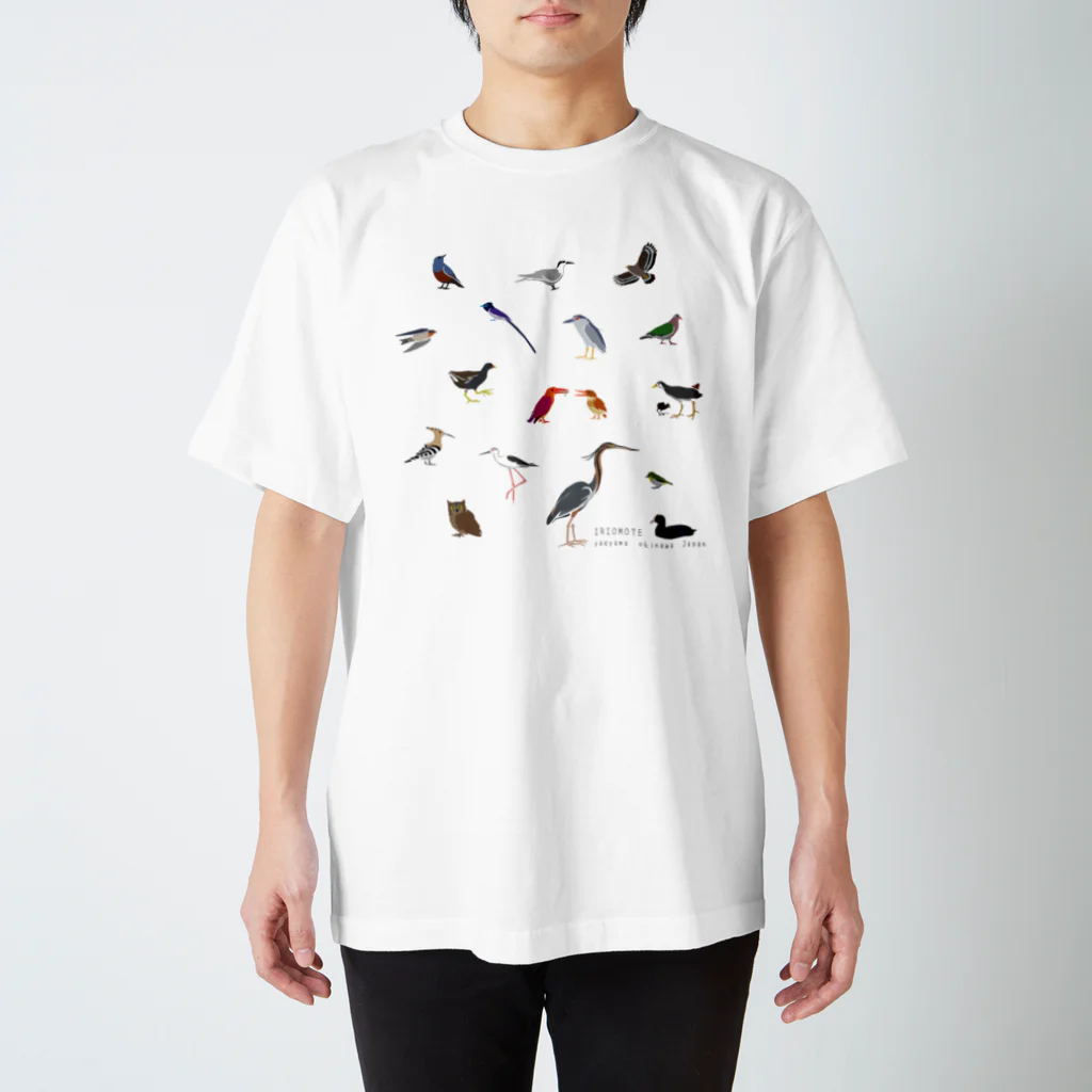しまのなかまfromIRIOMOTEのしまのなかま鳥類16（正方形展開） Regular Fit T-Shirt