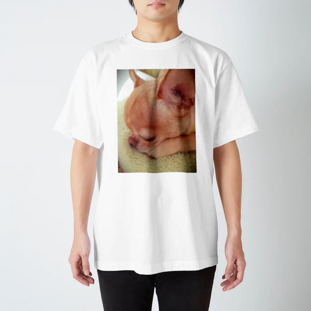 AGUYのbitto Regular Fit T-Shirt