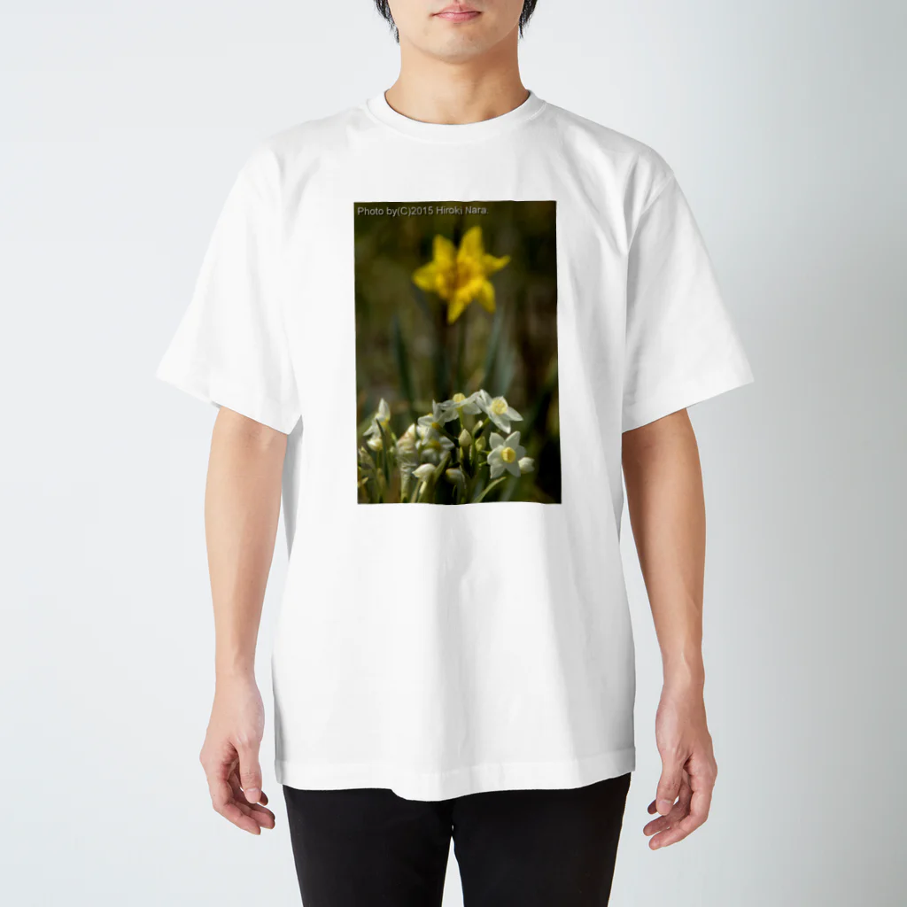 hiroki-naraの水仙　群れて咲く スタンダードTシャツ