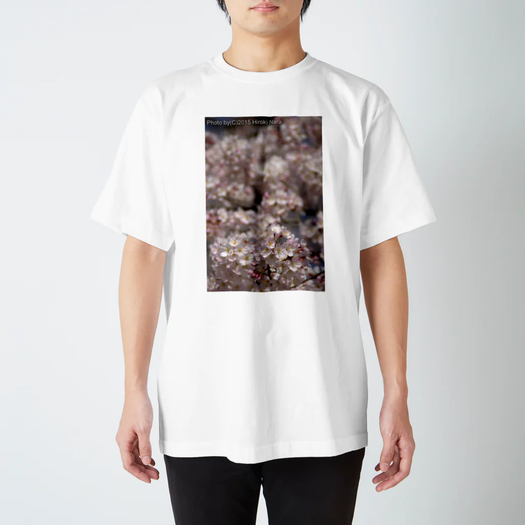 hiroki-naraの桜　春を誇るもの スタンダードTシャツ