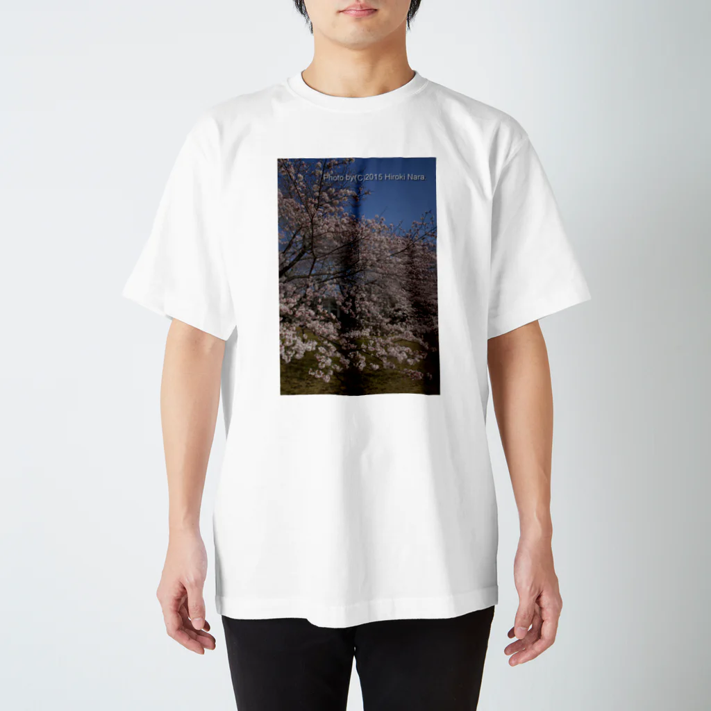 hiroki-naraの満開の桜 スタンダードTシャツ