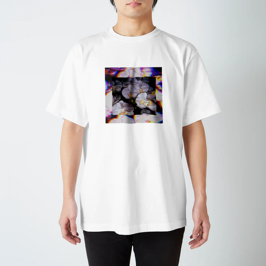 ナカノ の 写真の胡蝶蘭 スタンダードTシャツ