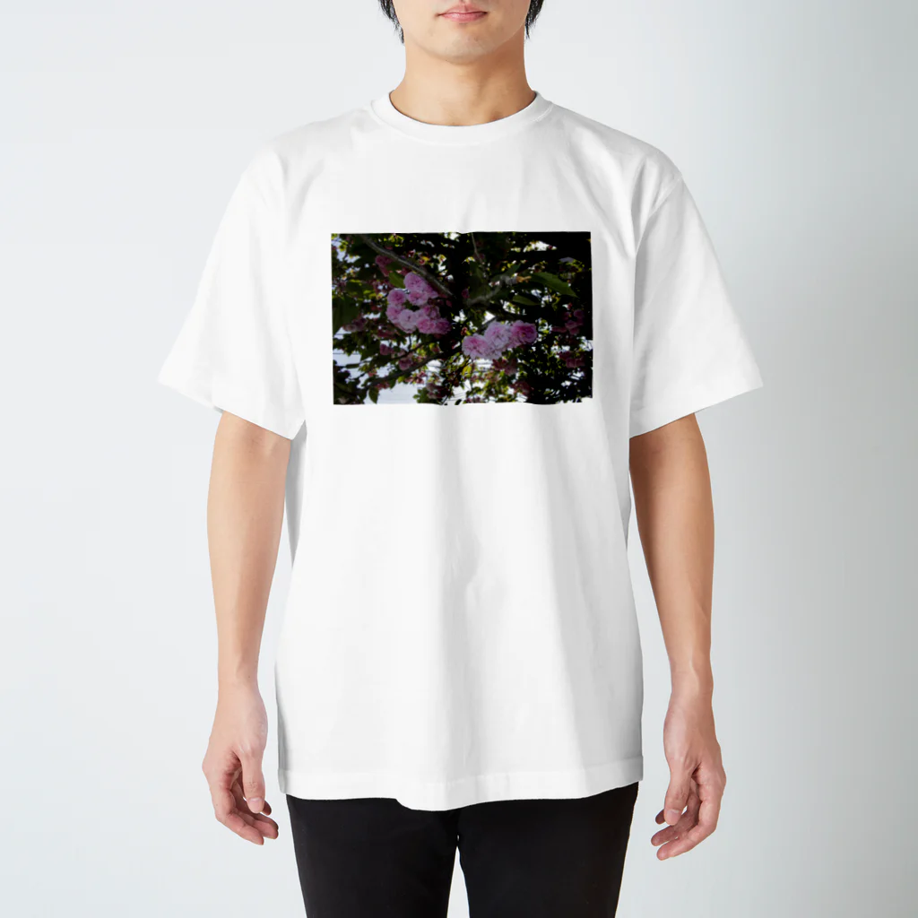 hiroki-naraの残った桜 Regular Fit T-Shirt