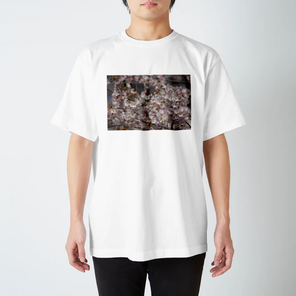 hiroki-naraの光景　sight0053　桜　2015_009　サクラ スタンダードTシャツ