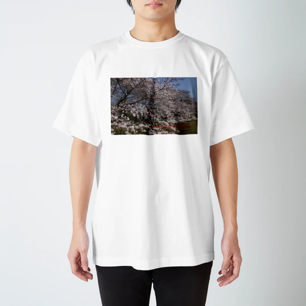 hiroki-naraの光景　sight0070　桜　2015_015　サクラ スタンダードTシャツ