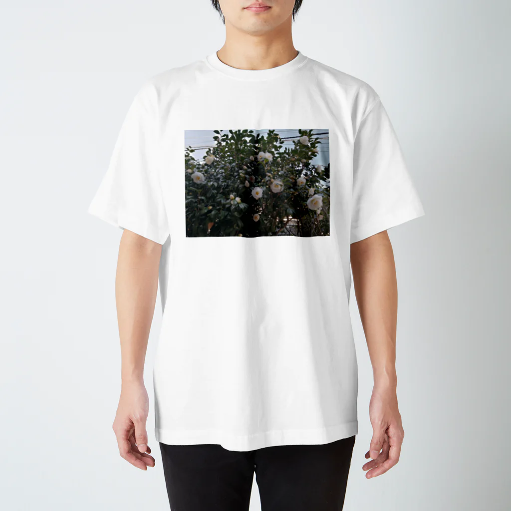 いのちばっかりさofficialの朝咲いてた花 スタンダードTシャツ