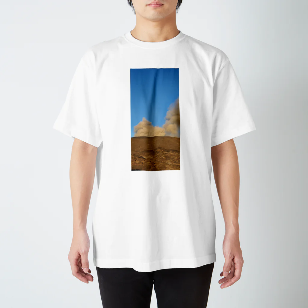 Ayuの阿蘇山 スタンダードTシャツ