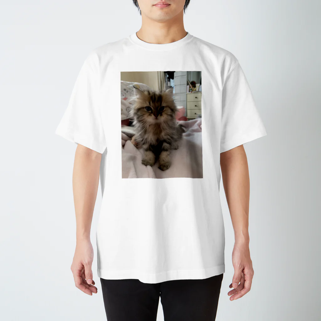 くまくまのうちねこ Regular Fit T-Shirt