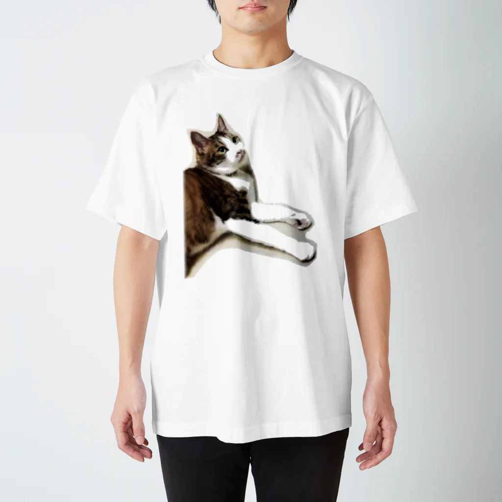 とっこのにゃあきちくん Regular Fit T-Shirt