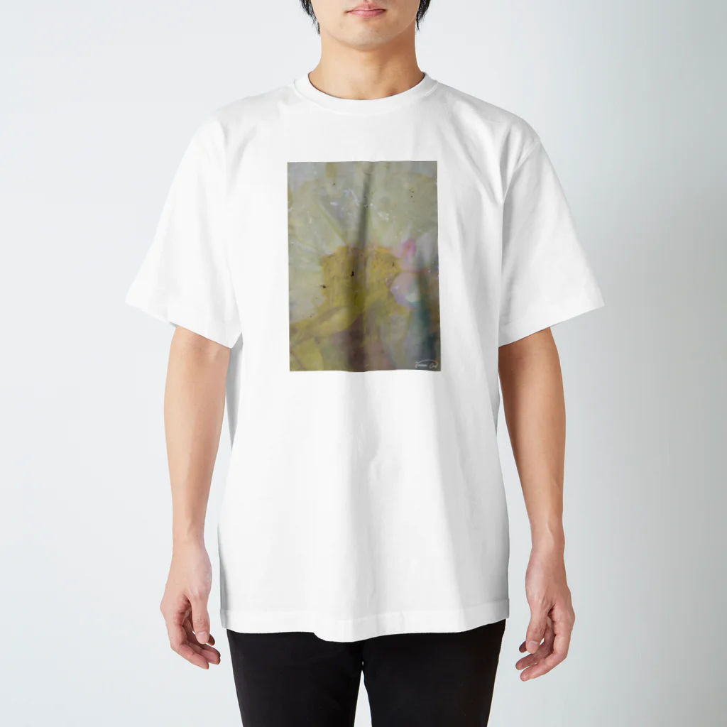 小さな野原のDecomposition of photo by soil(White Flower) スタンダードTシャツ