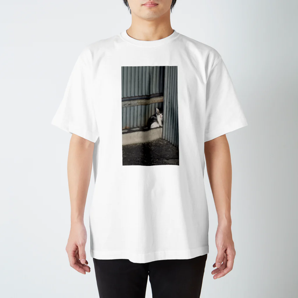 ナスボの野生の猫 Regular Fit T-Shirt