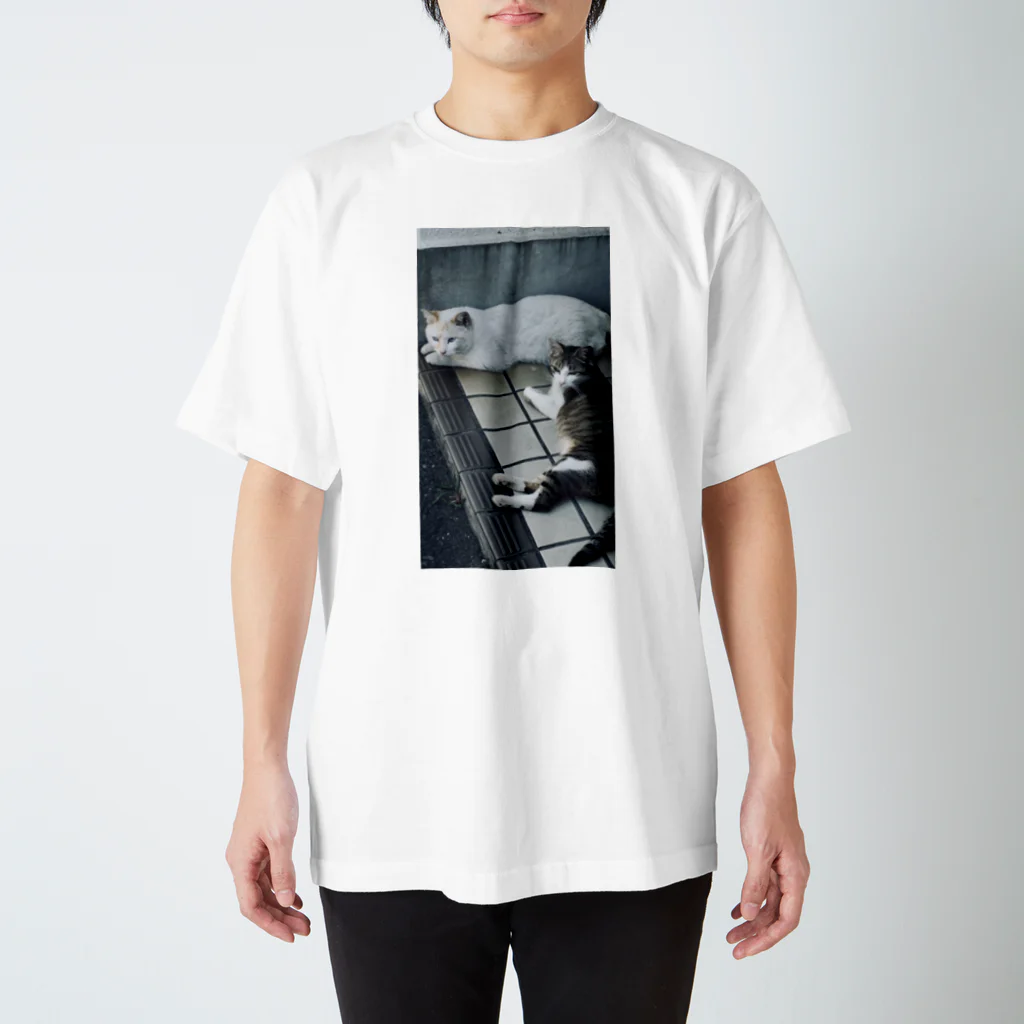 ナスボの野生の猫 Regular Fit T-Shirt