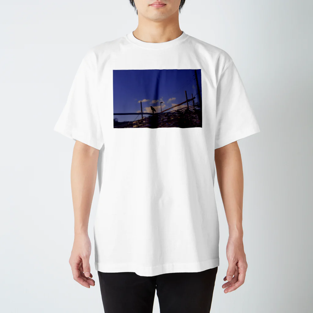 ha_naの烏 Regular Fit T-Shirt