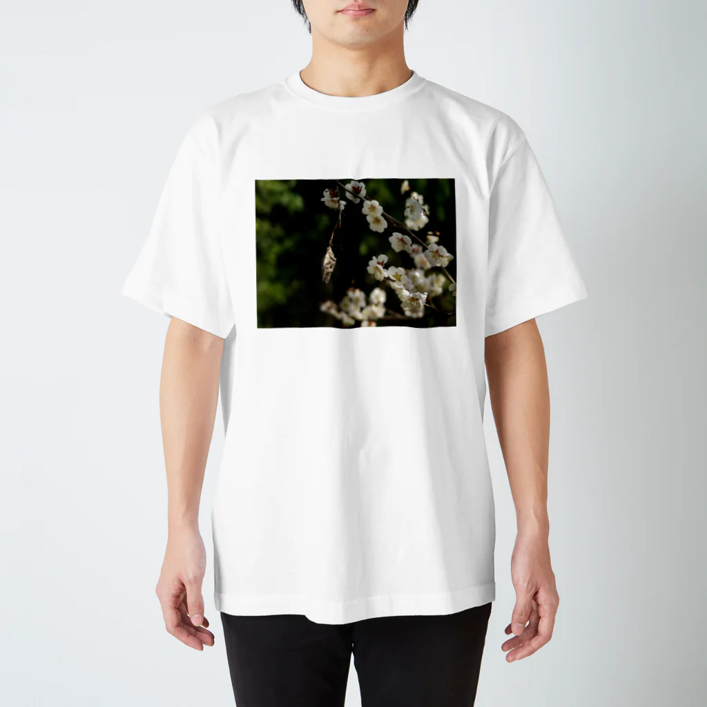 hiroki-naraの梅　ウメ　Japanese　apricot DATA_P_096 スタンダードTシャツ