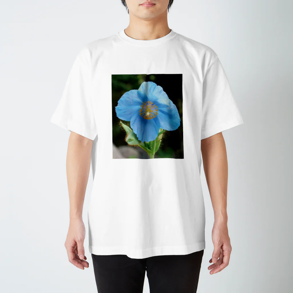 植物に会いにいくショップの青いケシ Tシャツ【限定10個】 スタンダードTシャツ