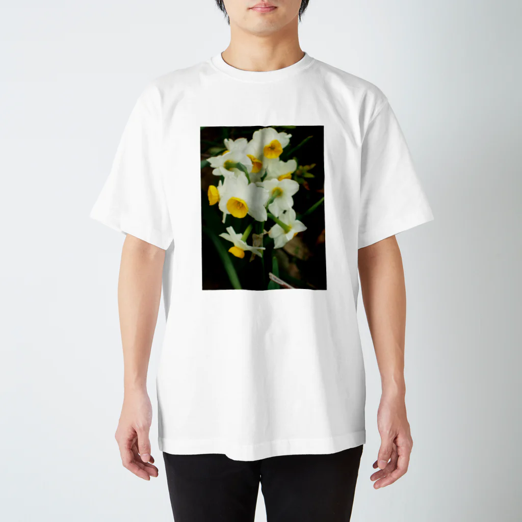 hiroki-naraの水仙　スイセン　DATA_P_100　春　spring スタンダードTシャツ