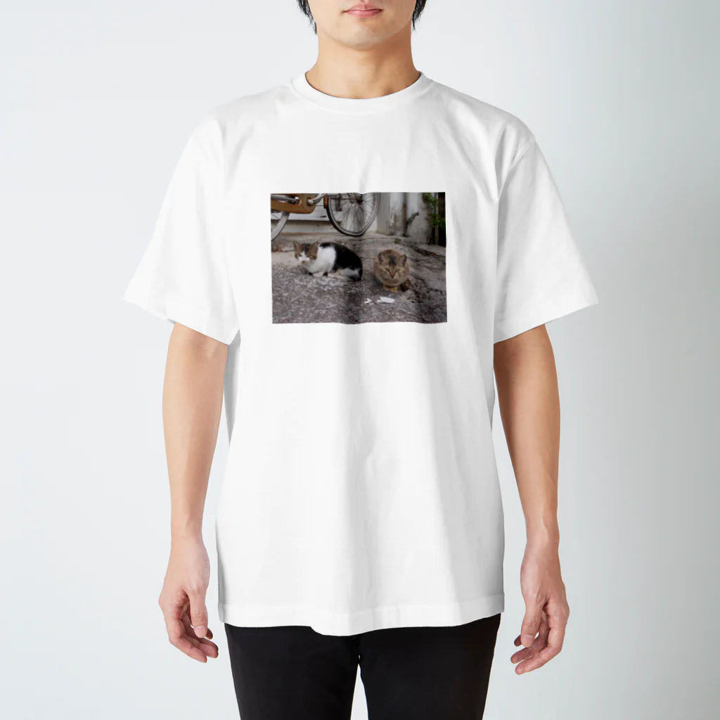 きしの島猫not遠近法 Regular Fit T-Shirt