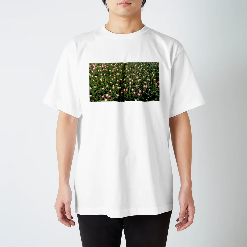 kanonのチューリップ スタンダードTシャツ