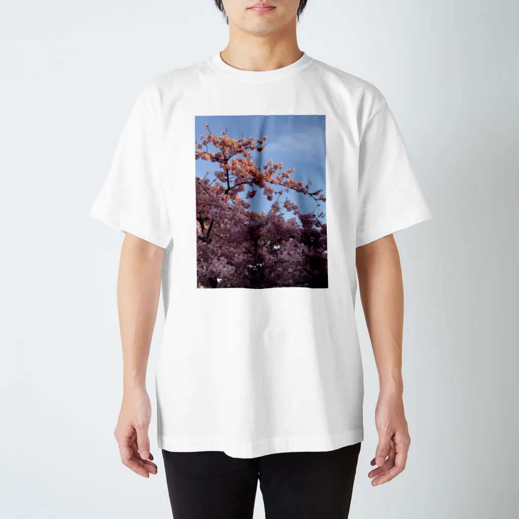 HAKOの夕焼けと春の華 スタンダードTシャツ