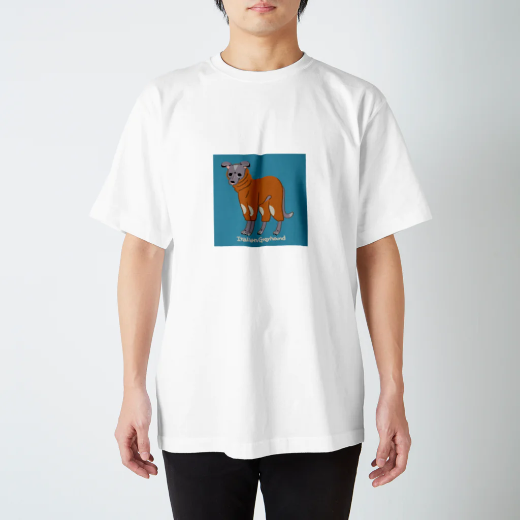 mmiyamotoの例の服のイタグレ Regular Fit T-Shirt