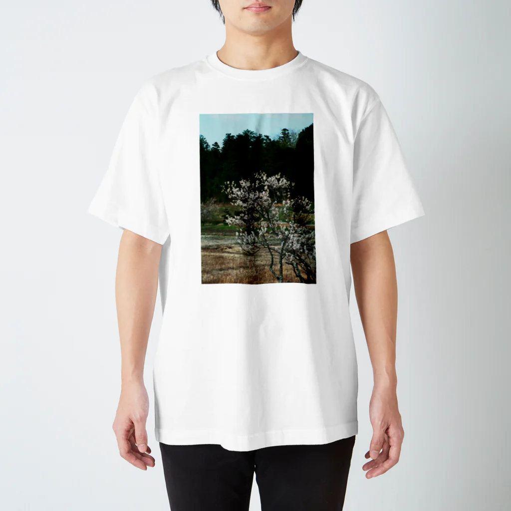 hiroki-naraの梅　ウメ　Japanese　apricot DATA_P_102　春　spring スタンダードTシャツ