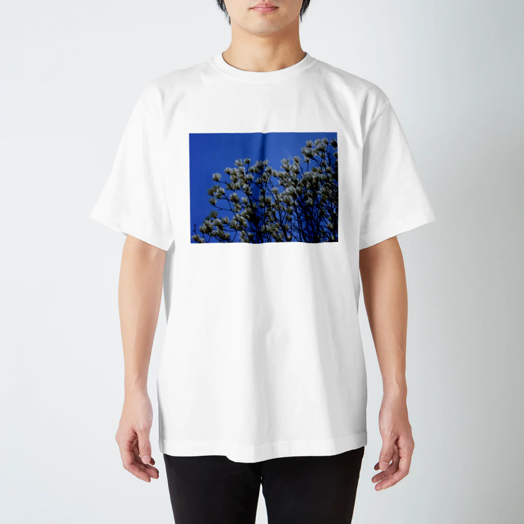 hiroki-naraの白木蓮 はくもくれん　春　spring　DATA_P_103 スタンダードTシャツ