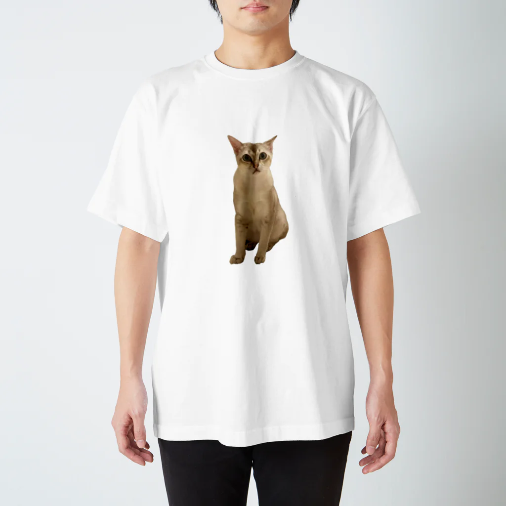 ティモのティモ Regular Fit T-Shirt