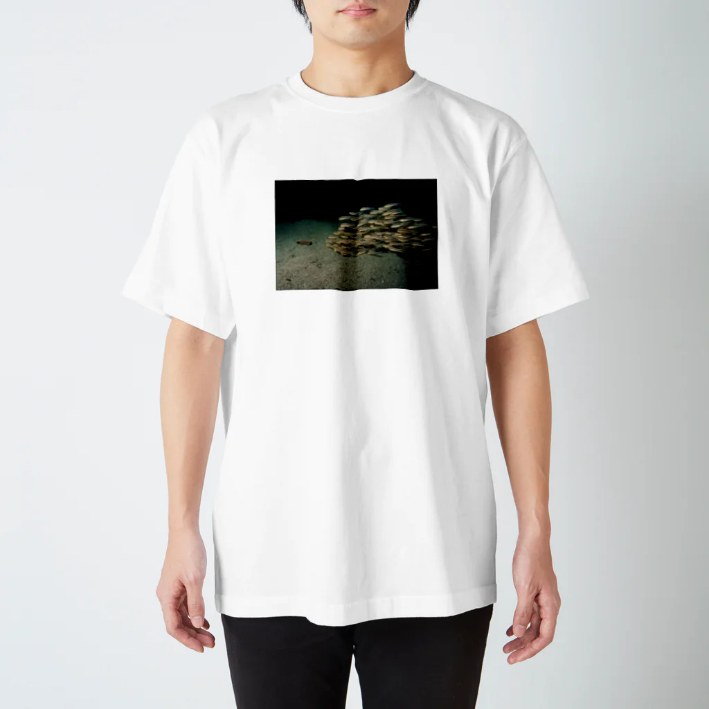 龍舞堂のゴンズイ Regular Fit T-Shirt