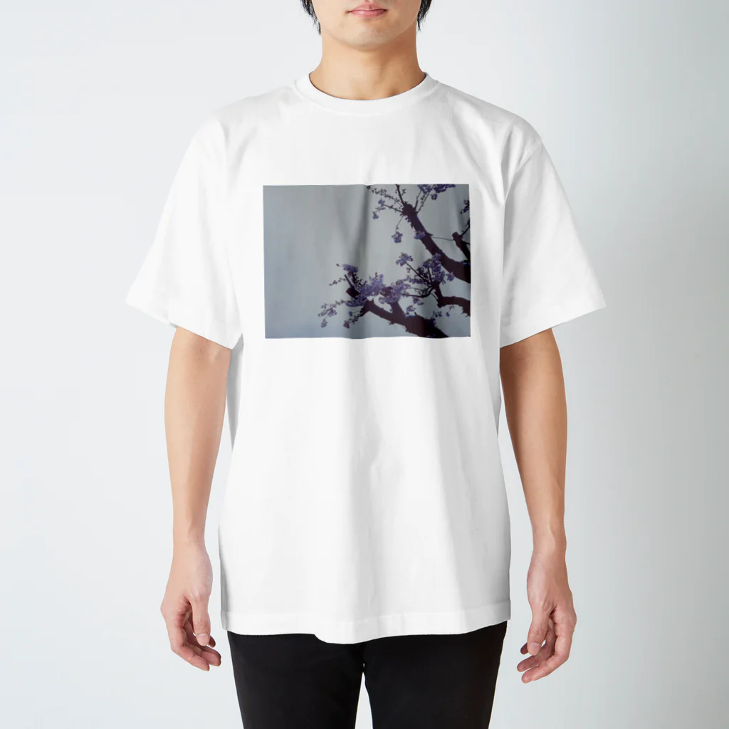 湿の春　桜Tシャツ Regular Fit T-Shirt