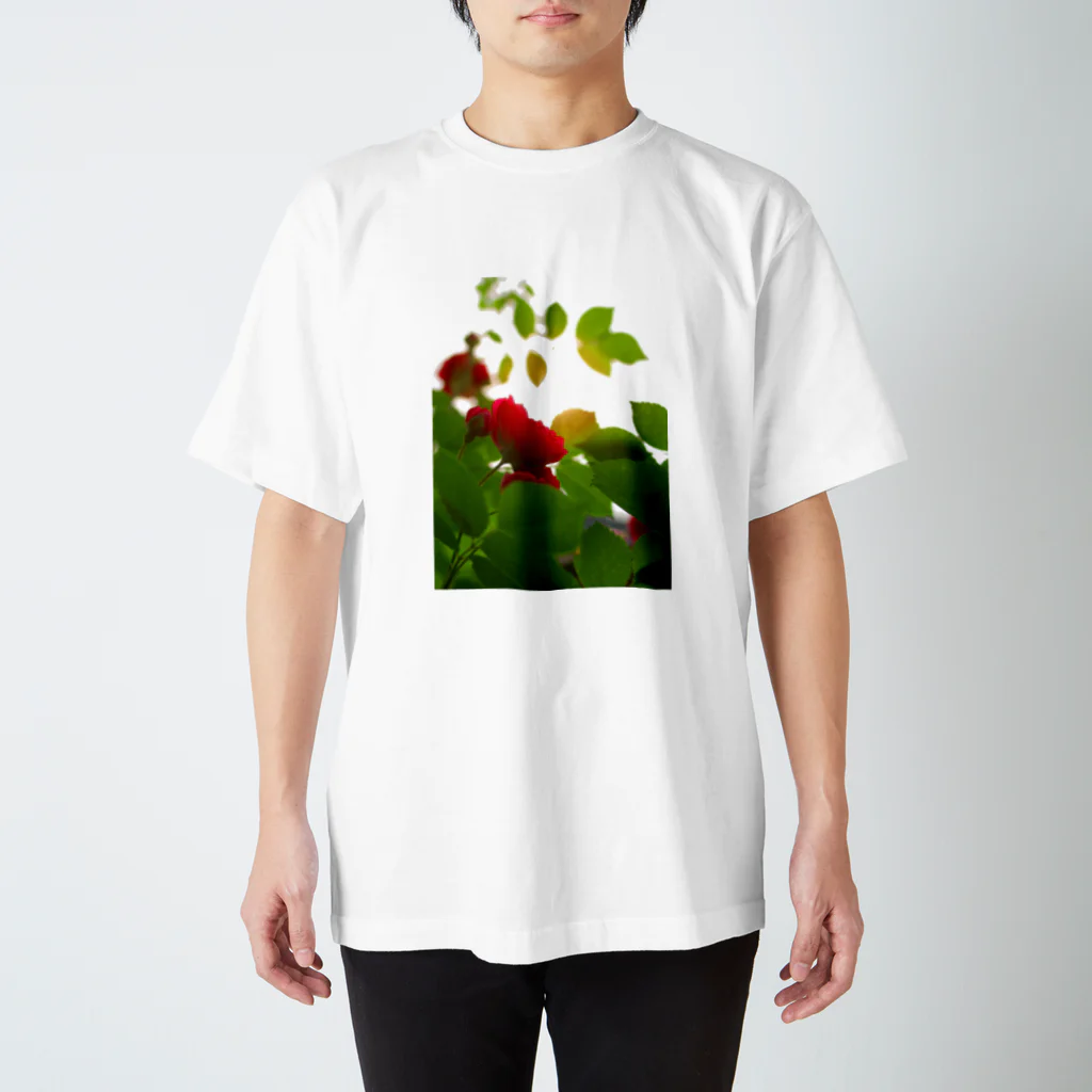 hiroki-naraのバラ　薔薇　rose DATA_P_117 スタンダードTシャツ