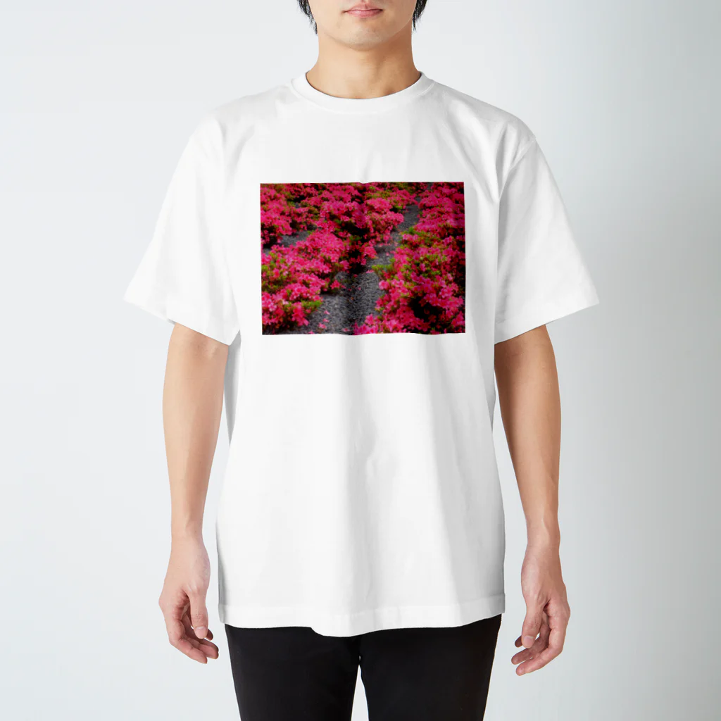 hiroki-naraのツツジ　azalea　DATA_P_118 Regular Fit T-Shirt