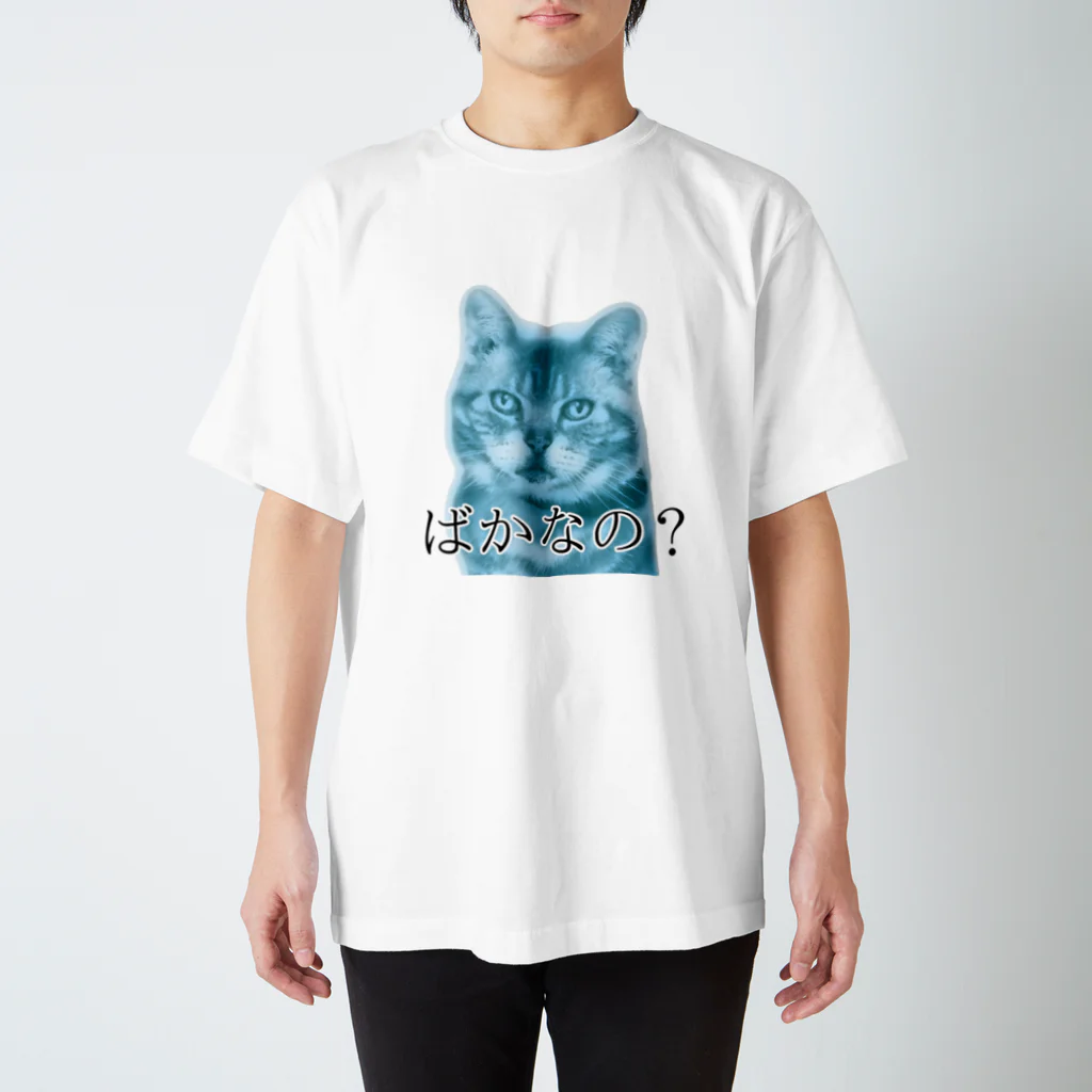 猫額のアトリエの曇りなきまなこ スタンダードTシャツ